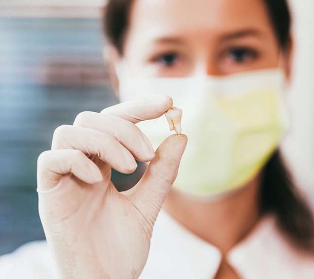Spring Tooth Extraction